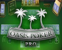 Playtech - игровой автомат онлайн от Various с RTP 95.5%